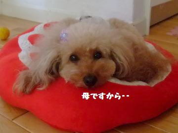 DSCF7295.JPG