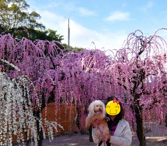 DSCF72971.jpg