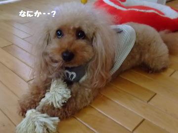 DSCF7299.JPG