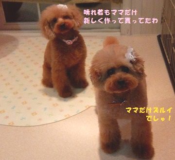 DSCF7326.jpg