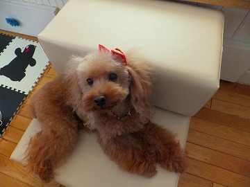 DSCF7368.jpg