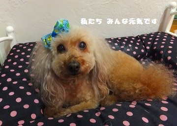 DSCF7395.jpg