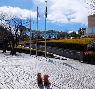 DSCF7406.jpg