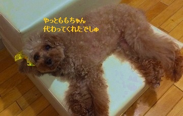 DSCF74272.jpg