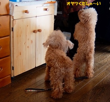 DSCF7436.jpg
