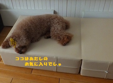 DSCF7467.jpg