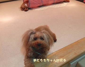 DSCF7478.jpg