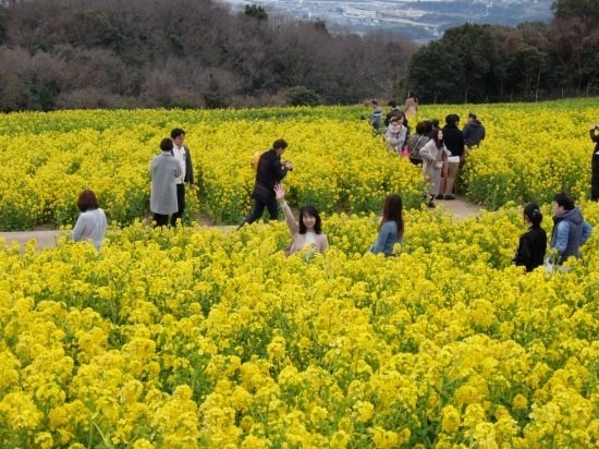 DSCF7500.jpg