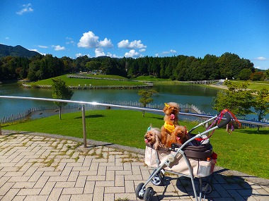 DSCF7530.jpg