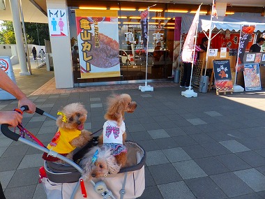 DSCF7540.jpg