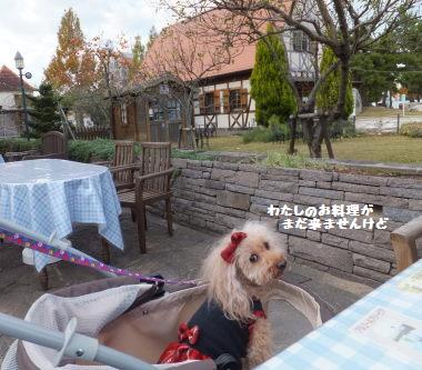 DSCF75491.jpg