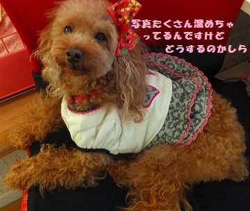 DSCF7550.jpg
