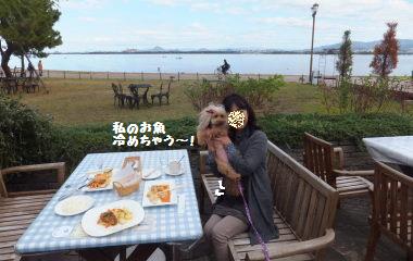DSCF75591.jpg