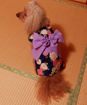 DSCF75721.jpg
