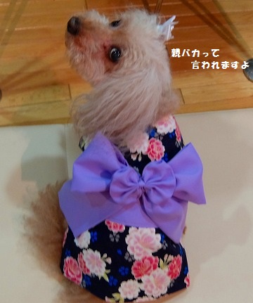 DSCF75821.jpg
