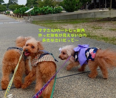DSCF7636.jpg