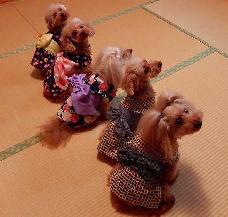 DSCF7707.jpg