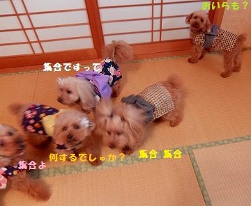 DSCF7718.jpg