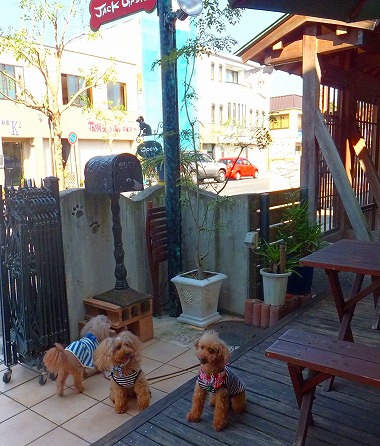 DSCF7738.jpg