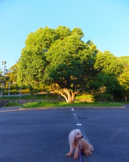 DSCF7750.jpg