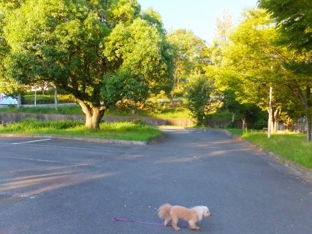 DSCF7757.jpg