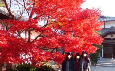 DSCF77712.jpg