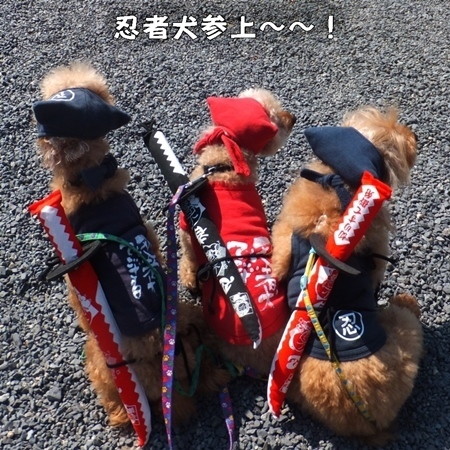 DSCF7808.JPG