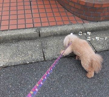 DSCF7813.jpg