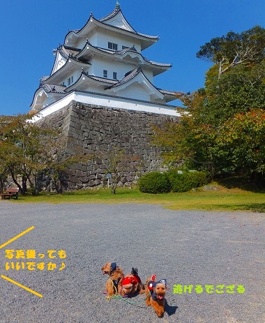 DSCF7813.jpg