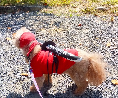 DSCF7847.jpg