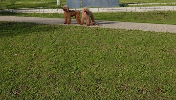 DSCF7852.jpg