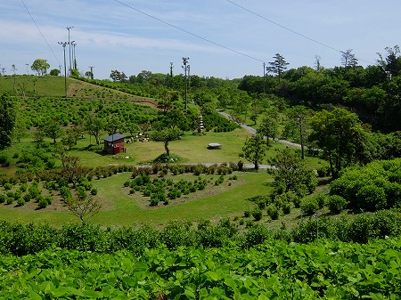 DSCF7914.jpg