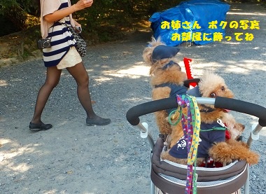 DSCF7923.jpg