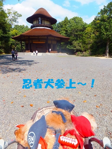 DSCF7931.jpg