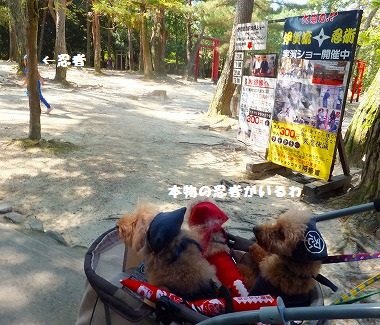 DSCF7957.jpg