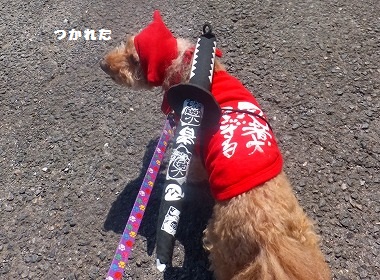 DSCF7974.jpg