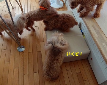 DSCF7988.jpg