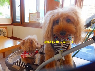 DSCF7995.jpg