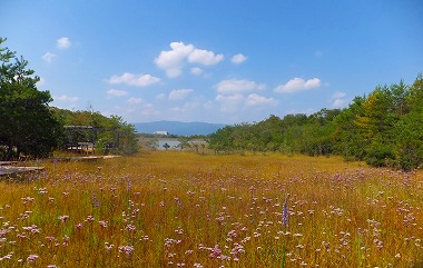 DSCF8014.jpg