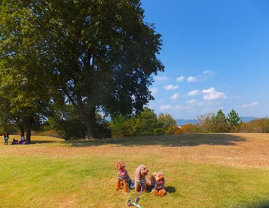 DSCF8029.jpg