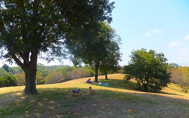 DSCF8035.jpg