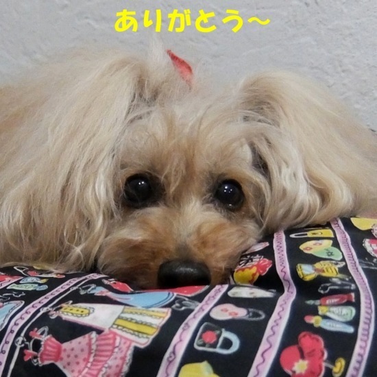 DSCF8067.jpg