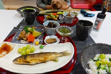 DSCF8224.jpg