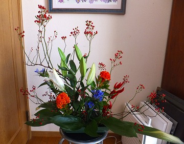 DSCF8236.jpg