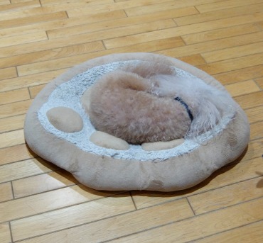 DSCF8349.jpg
