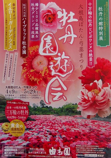 DSCF8472.jpg