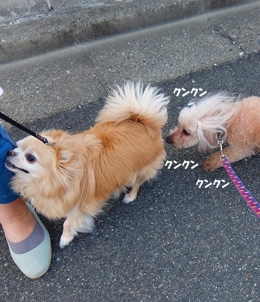 DSCF8488.jpg