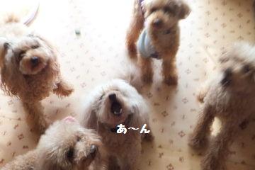 DSCF8500.JPG