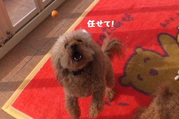 DSCF8504.JPG