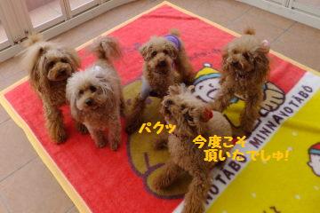 DSCF8508.JPG